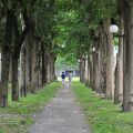 宜蘭運動公園-宜蘭運動公園照片