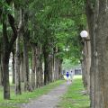 宜蘭運動公園-宜蘭運動公園照片