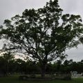 宜蘭運動公園-宜蘭運動公園照片