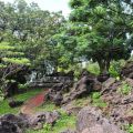 猴洞山-石牌公園-猴洞山-石牌公園照片