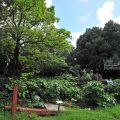 猴洞山-石牌公園-猴洞山-石牌公園照片