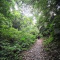 棲蘭國家森林遊樂區-棲蘭國家森林遊樂區照片