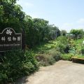 台南市 蘭科植物園