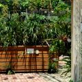 蘭科植物園-台南市 蘭科植物園照片
