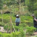 小南海自然生態公園-小南海自然生態公園照片