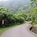 草嶺古道(宜蘭段)-草嶺古道(宜蘭段)照片