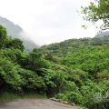 草嶺古道(宜蘭段)-草嶺古道(宜蘭段)照片