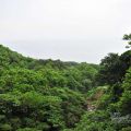 草嶺古道(宜蘭段)-草嶺古道(宜蘭段)照片