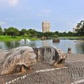 羅東運動公園-羅東運動公園照片