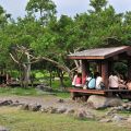 羅東運動公園-羅東運動公園照片