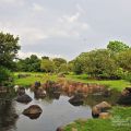 羅東運動公園-羅東運動公園照片