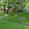 羅東運動公園-羅東運動公園照片