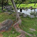 羅東運動公園-羅東運動公園照片