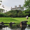 羅東運動公園-羅東運動公園照片