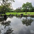 羅東運動公園-羅東運動公園照片