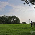 羅東運動公園-羅東運動公園照片