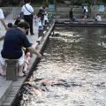 羅東運動公園-羅東運動公園照片