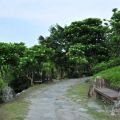 羅東運動公園-羅東運動公園照片