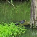 羅東運動公園-羅東運動公園照片