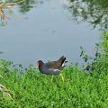 羅東運動公園-羅東運動公園照片