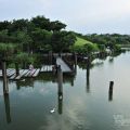 羅東運動公園-羅東運動公園照片