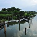 羅東運動公園-羅東運動公園照片