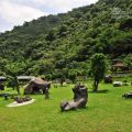 石頭家天雕公園-石頭家天雕公園照片