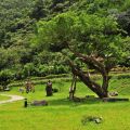 石頭家天雕公園-石頭家天雕公園照片