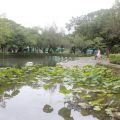 台中公園(中山公園)-台中公園(中山公園)照片