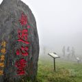 青青草原-青青草原照片