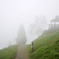 青青草原-青青草原照片