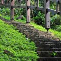 奮起湖日本神社遺址-奮起湖日本神社遺址照片