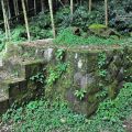 奮起湖日本神社遺址-奮起湖日本神社遺址照片