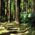 奮起湖日本神社遺址-奮起湖日本神社遺址照片