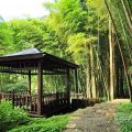 奮起湖日本神社遺址-奮起湖日本神社遺址照片