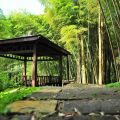 奮起湖日本神社遺址-奮起湖日本神社遺址照片