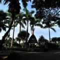 松田崗休閒農場-松田崗休閒農場照片
