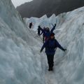 冰河體驗   紐西蘭法蘭茲 -約瑟夫冰河-紐西蘭  法蘭茲 -約瑟夫冰河照片
