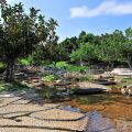 冬山河親水公園-冬山河親水公園照片