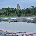 冬山河親水公園-冬山河親水公園照片