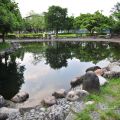 員山公園-員山公園照片