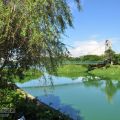 小南海自然生態公園(永安水庫)照片