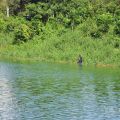 小南海自然生態公園(永安水庫)-小南海自然生態公園(永安水庫)照片