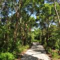 小南海自然生態公園(永安水庫)-小南海自然生態公園(永安水庫)照片