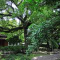 宜蘭設治紀念館-宜蘭設治紀念館照片