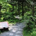 福山植物園-福山植物園照片