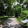 福山植物園-福山植物園照片