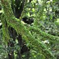 福山植物園-福山植物園照片