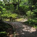 福山植物園-福山植物園照片