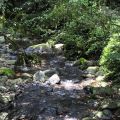 福山植物園-福山植物園照片